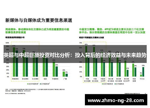 英超与中超巨额投资对比分析：投入背后的经济效益与未来趋势