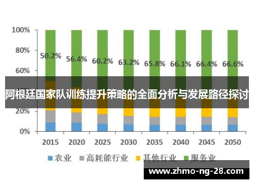 阿根廷国家队训练提升策略的全面分析与发展路径探讨