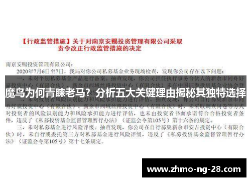 魔鸟为何青睐老马？分析五大关键理由揭秘其独特选择