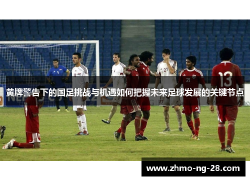 黄牌警告下的国足挑战与机遇如何把握未来足球发展的关键节点