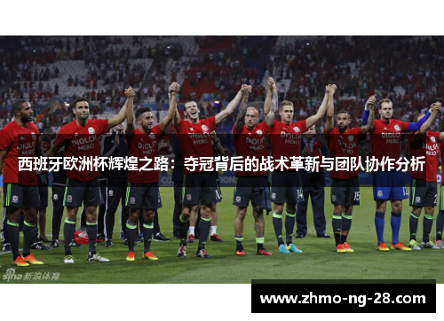 西班牙欧洲杯辉煌之路：夺冠背后的战术革新与团队协作分析