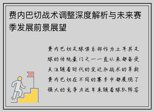 费内巴切战术调整深度解析与未来赛季发展前景展望