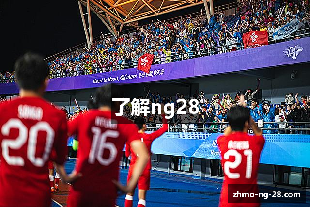 了解ng28
